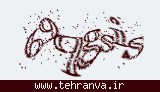 تصویر امنیتی