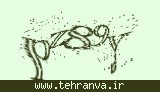 تصویر امنیتی