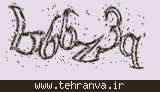 تصویر امنیتی