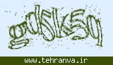 تصویر امنیتی