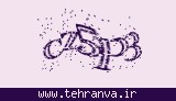تصویر امنیتی