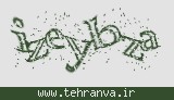 تصویر امنیتی