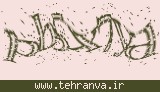 تصویر امنیتی
