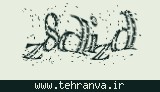 تصویر امنیتی
