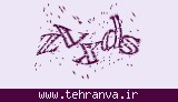 تصویر امنیتی