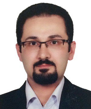 دکتر امیر حسین محمدی - عضو اصلی و نائب رئیس هیئت مدیره