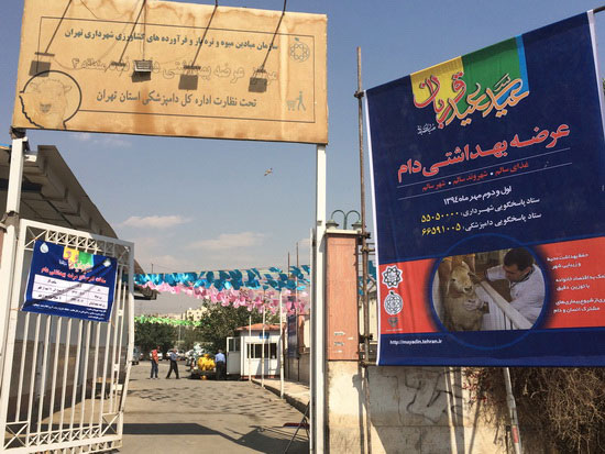 گزارش تصویری عرضه بهداشتی دام در استان تهران ویژۀ روز عرفه و عید قربان 94