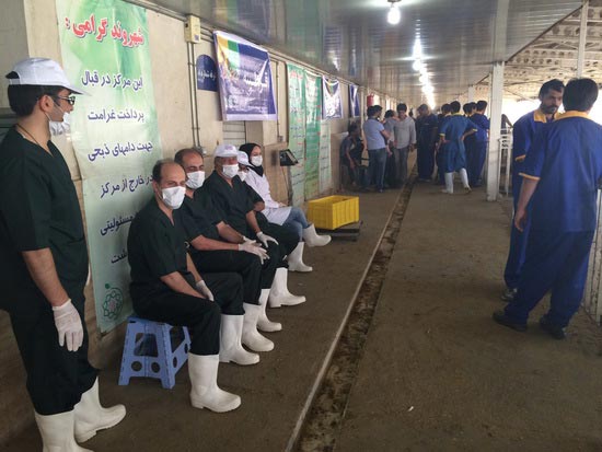 گزارش تصویری عرضه بهداشتی دام در استان تهران ویژۀ روز عرفه و عید قربان 94
